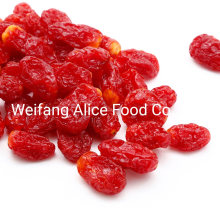 Chinese Dried Fruit Preserved Cherrytomato Dried Cherry Tomato